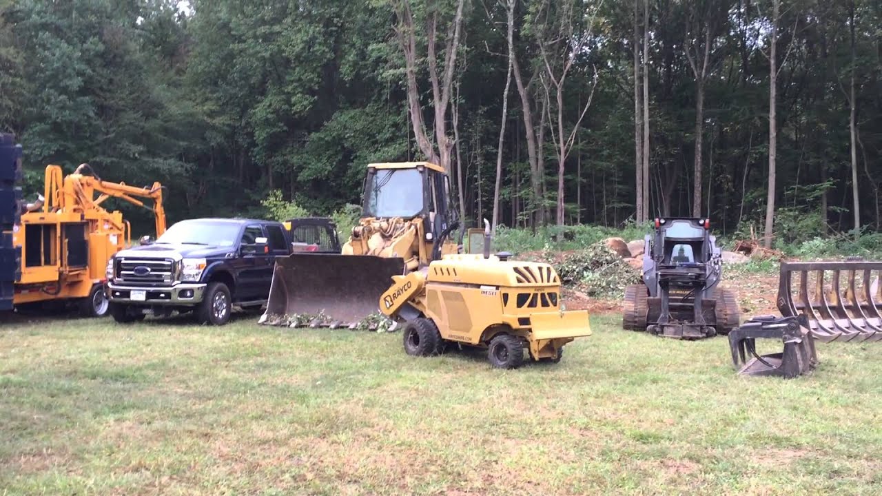 Starting another morning of tree removal and land clearing