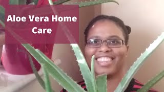 Aloe Vera Home Care - The Aloe Vera Garden - UK