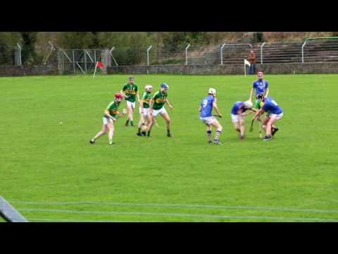 Leinster MHL - Wicklow v Kerry