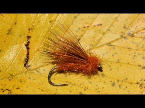 Matt's October Caddis
