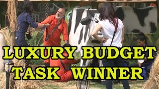 Exclusive Bigg Boss 9: Guess The Winner Of The Luxury Budget Task!