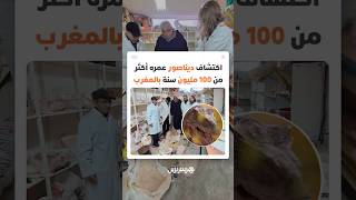 اكتشاف بقايا ديناصور عمره أكثر من 100 مليون سنة شرق المغرب thumbnail