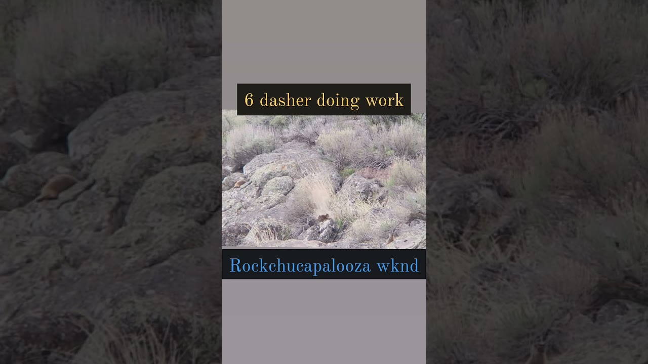 What more can I say?? #6dasher