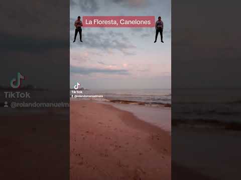 Playa del Balneario La Floresta (Canelones - Uruguay)