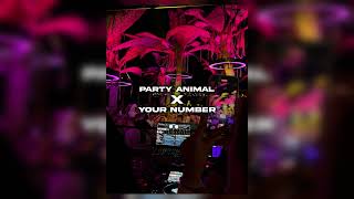 Party Animal x Your Number - Vectem