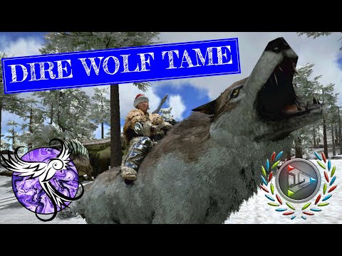 TAMING OUR FIRST DIRE WOLF | Nomadic Survival EP31 | ARK Survival Evolved Mobile