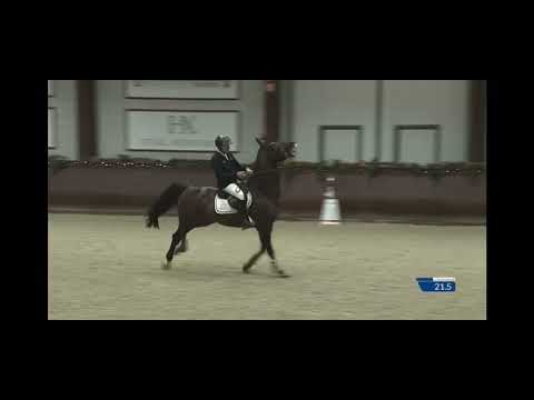 Grandorado TN & Willem Greve winning Grand Prix Kronenberg december 2021