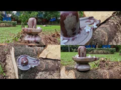 Natural Omkar Tridev Trishul Narmadeshar Stone Shivalingum video