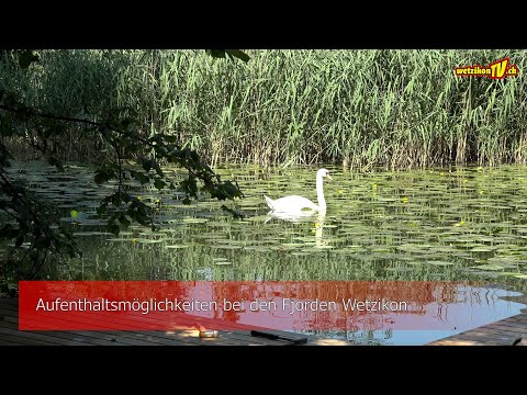 Aufenthaltsmöglichkeiten bei den Fjorden Wetzikon