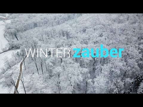 Winterzauber in Aesch