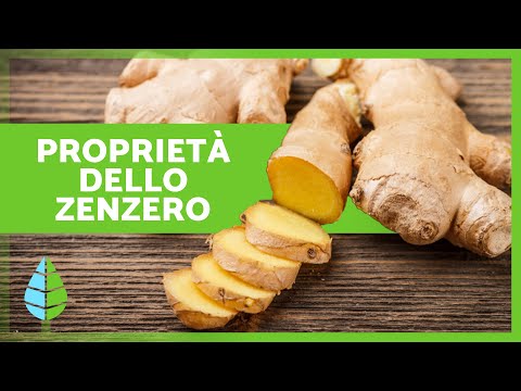 BENEFICI dello ZENZERO ✅ (Proprietà, A cosa serve e Come Assumerlo)