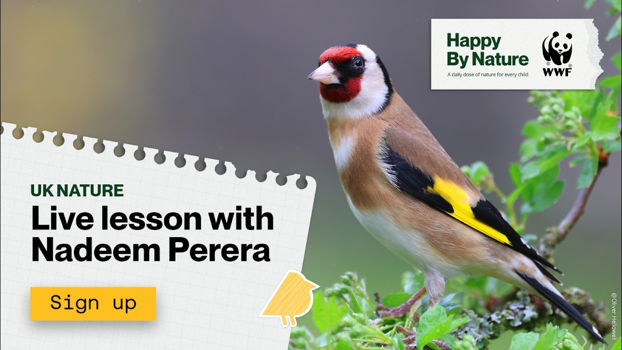 Live Lesson With Nadeem Perera | Happy By Nature