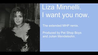 Liza Minnelli  - I Want You Now (The Extended MHP Remix)