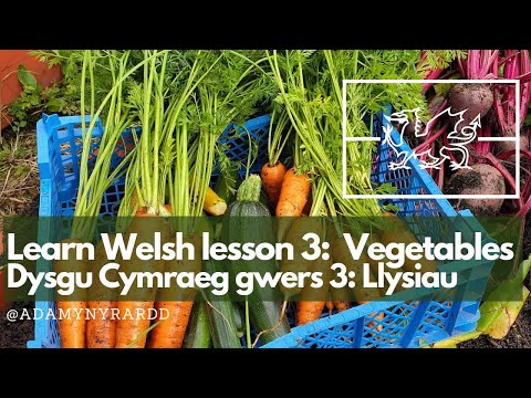 Learn the Welsh names for vegetables / Dysgu enwau'r llysiau yn Gymraeg