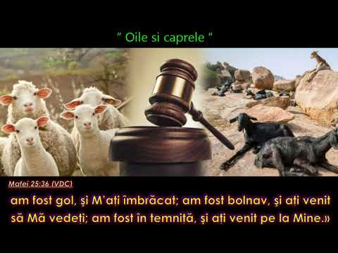 Pilda Oilor si caprelor - Gavrila Cuciureanu - 17 07 2022 - Gădălin