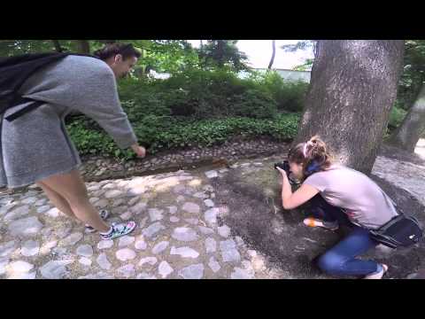 Польша/ Poland 20.06.15