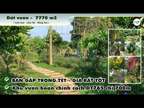 BÁN GẤP TRONG TẾT khu vườn tuyệt phẩm cách DT765 chỉ 700m tại Cẩm Mỹ (4.5 tỷ)