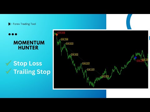 Video Momentum Hunter MT5
