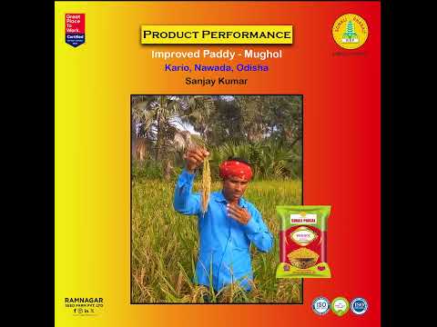 Improved Paddy – Mughol