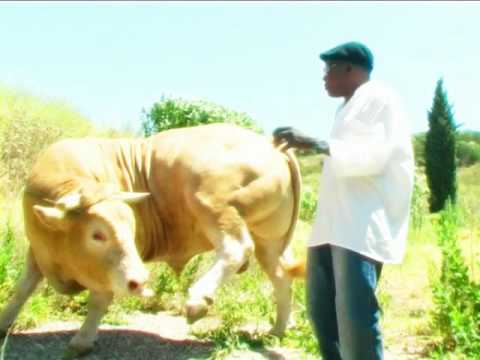 António Sanches - Rapaz di Praia Malandro