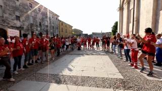 preview picture of video 'Solferino 2014 Fiaccolata Internazionale della Croce Rossa'