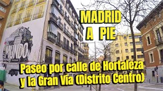 🚶CALLE de HORTALEZA y La GRAN VÍA🏙️Madrid