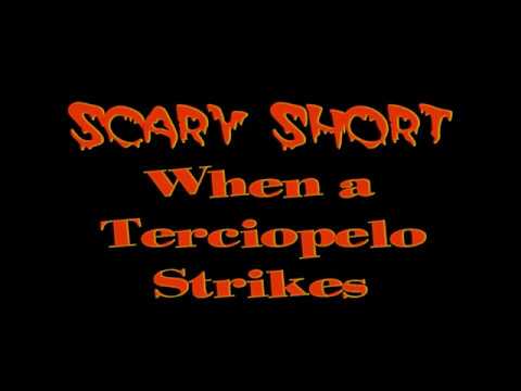Scary Short: When a Terciopelo Strikes