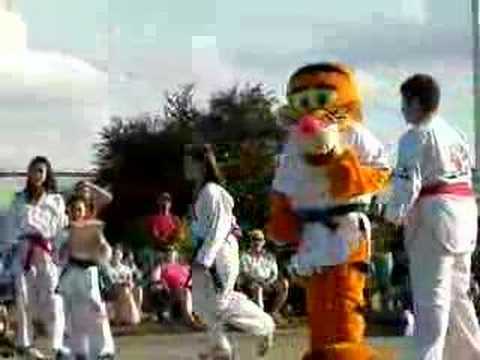 Disney Fake Karate Kung Fu Tigger Furry Wheeling, IL