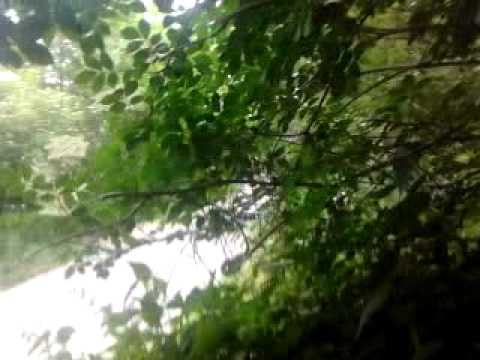 Rally degli abeti e dell abetone 2012