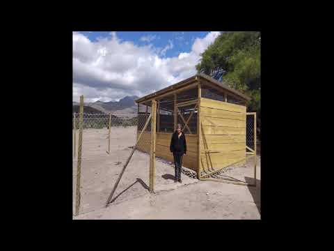 Combarbalá impulsa producción avícola sustentable con apoyo de INDAP // Noticias.lat