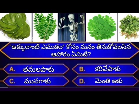 Interesting questions in telugu|quiz in telugu|Unknown facts|Current affairs in telugu|General gk