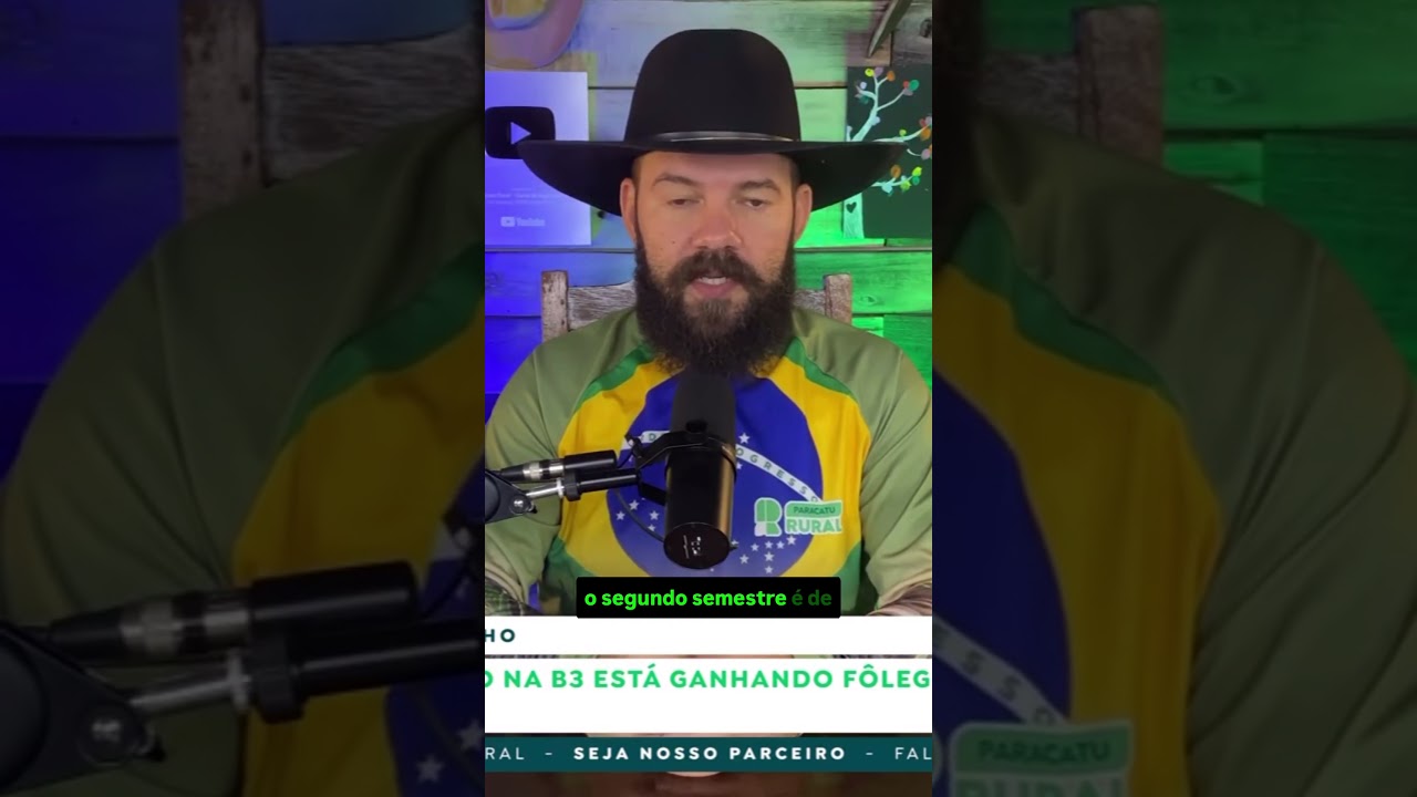 Por que o milho na B3 está ganhando fôlego mesmo com a colheita em campo?