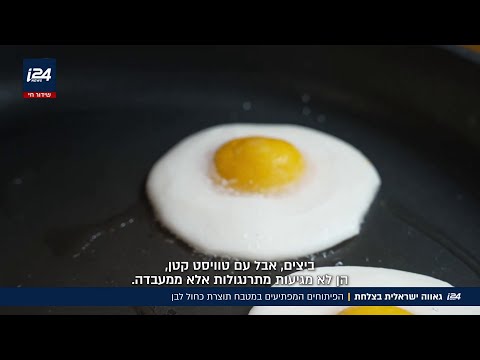פיתוחים ישראליים מבטיחים שיוצרים את האוכל של העתיד