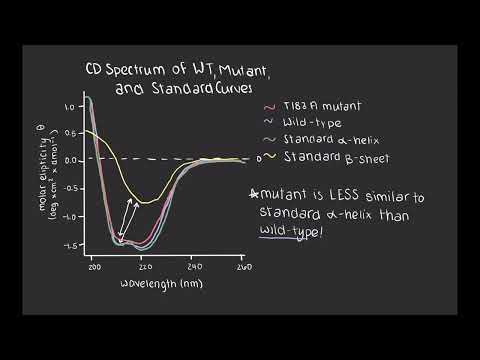 Zombie Proteins: What We Do and Don't Know About Prions