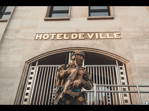 Nemesis; in het spoor van de para’s uit Flawinne // sur la piste des para-commandos de Flawinne