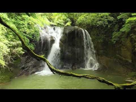 千葉県 大多喜町 「田代滝」（白蛇伝説・ドローン）
