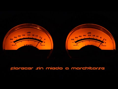 Audiotripper - Florecer (lyric video)