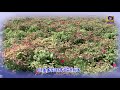Promo Pon Vilaiyum Bhoomi 19 10 2020
