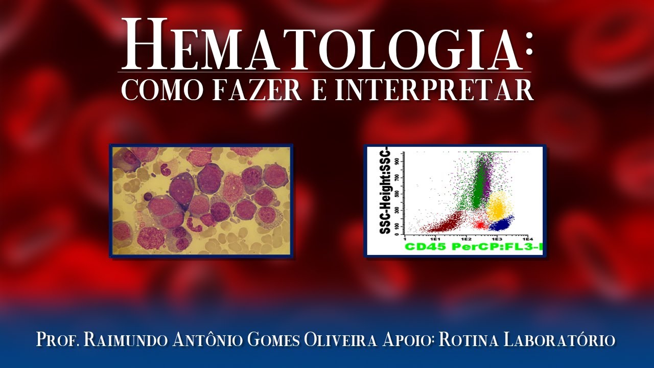 Como Interpretar o Hemograma: fundamentos básicos