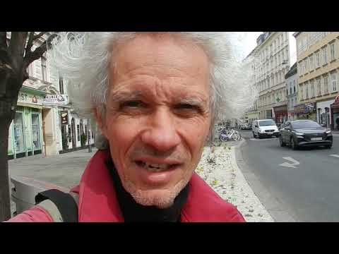 Frühling - Blühende Blumen in weißen Kiesbeeten unter Straßenbäumen