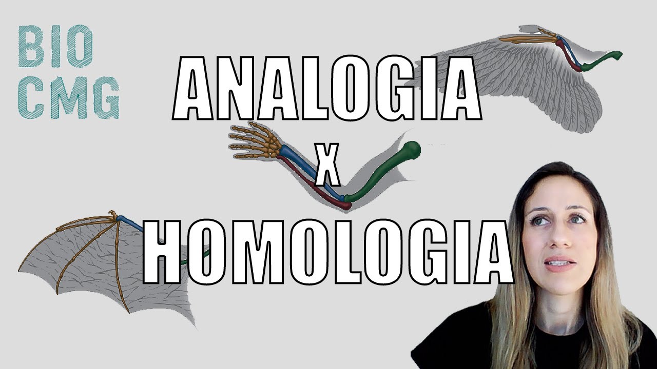 Analogia x Homologia - Você sabe a diferença?