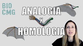 Analogia x Homologia - Você sabe a diferença?