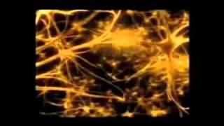 Brain Chips, Downloadable Memories, and Micro Chips in The Swine Flu Vaccine.flv