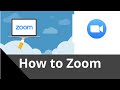 How to Use Zoom Basics von Jen Jonson