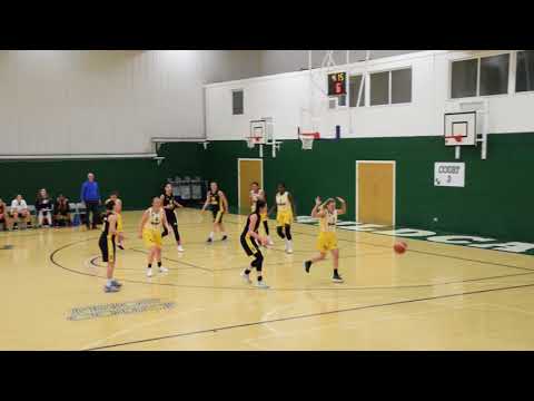 25 November 2017 - Nottingham Wildcats vs Sevenoaks Suns