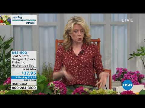HSN | Lawn & Garden featuring Leaf & Petal Designs 03.22.2019 - 06 AM