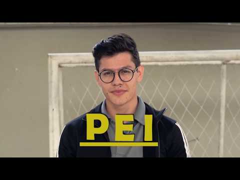 Proyecto Educativo Institucional - Inducción Institucional