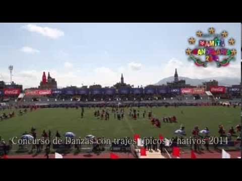 13   Asociación Folklórica Carnaval de Jaillihuaya - Candelaria 2014