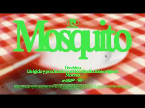 Mosquito - Morreo