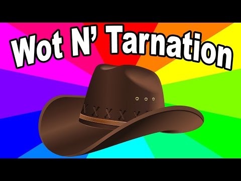 What does "what in tarnation" mean? The origin of the southern influenced what in ___  memes